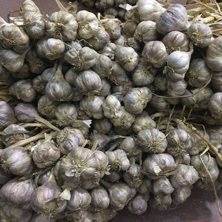 Purple Stripe Garlic - Single Origin Spice & Seasoning: 3.0 oz glass jar