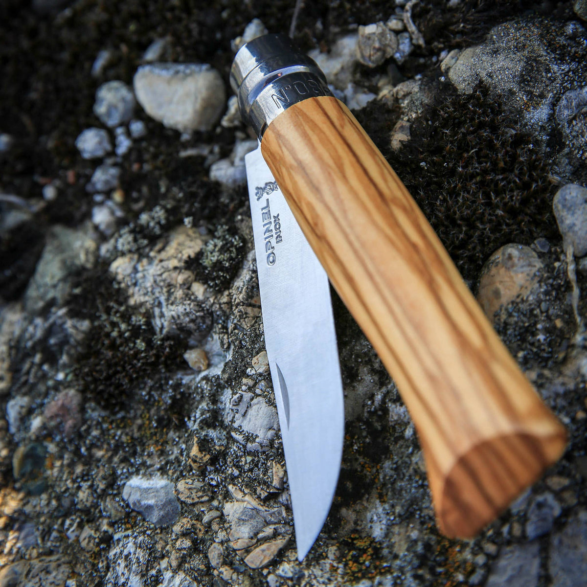 Olive Wood Folding Knives