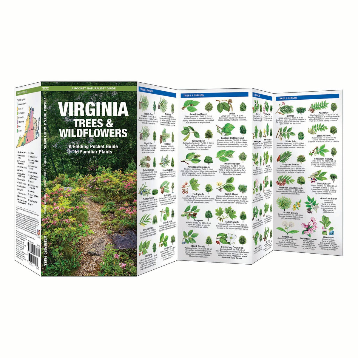 Virginia Trees & Wildflowers Nature Guide