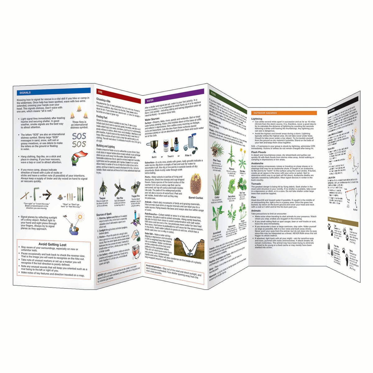 Wilderness Survival Field Guide